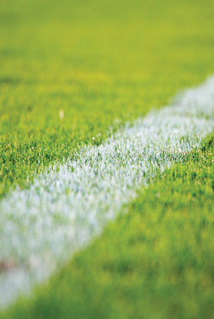 Sports and Esports Law