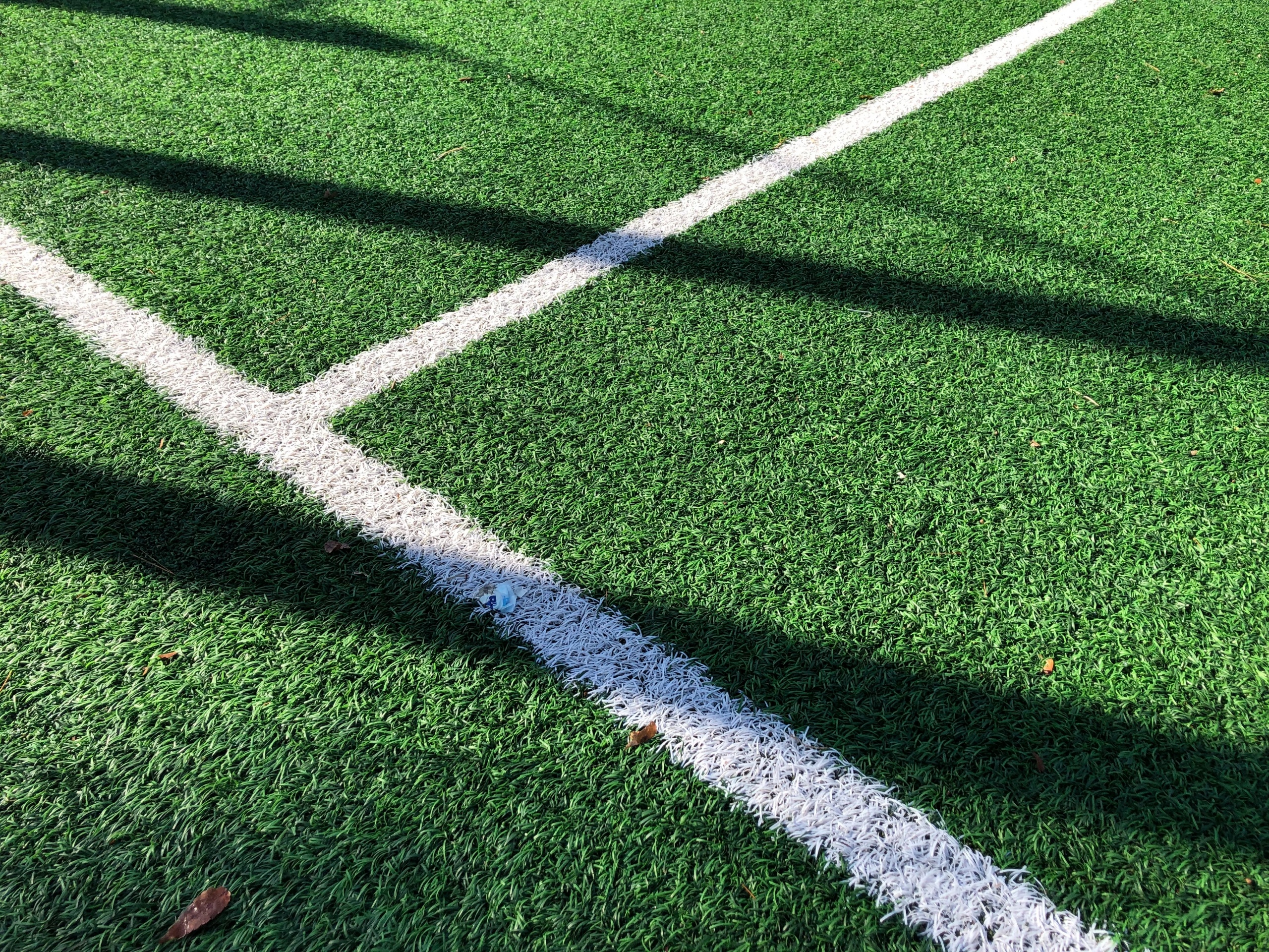 Sports Law : Sports Dispute Resolution Committee Regulations - Richard Wee Chambers